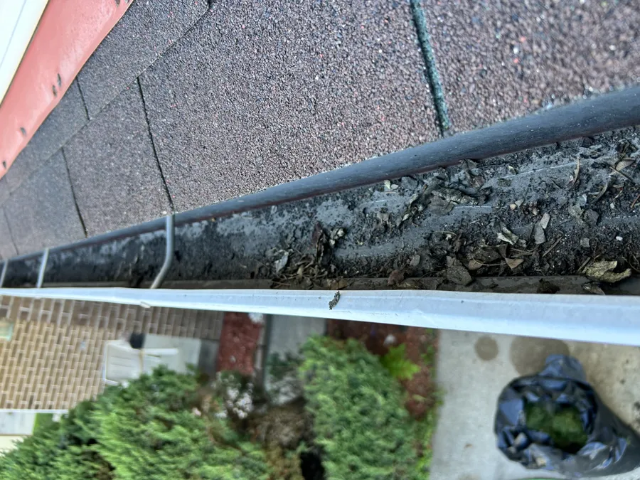 Debris-filled gutter from a DJ Did It cleaning job