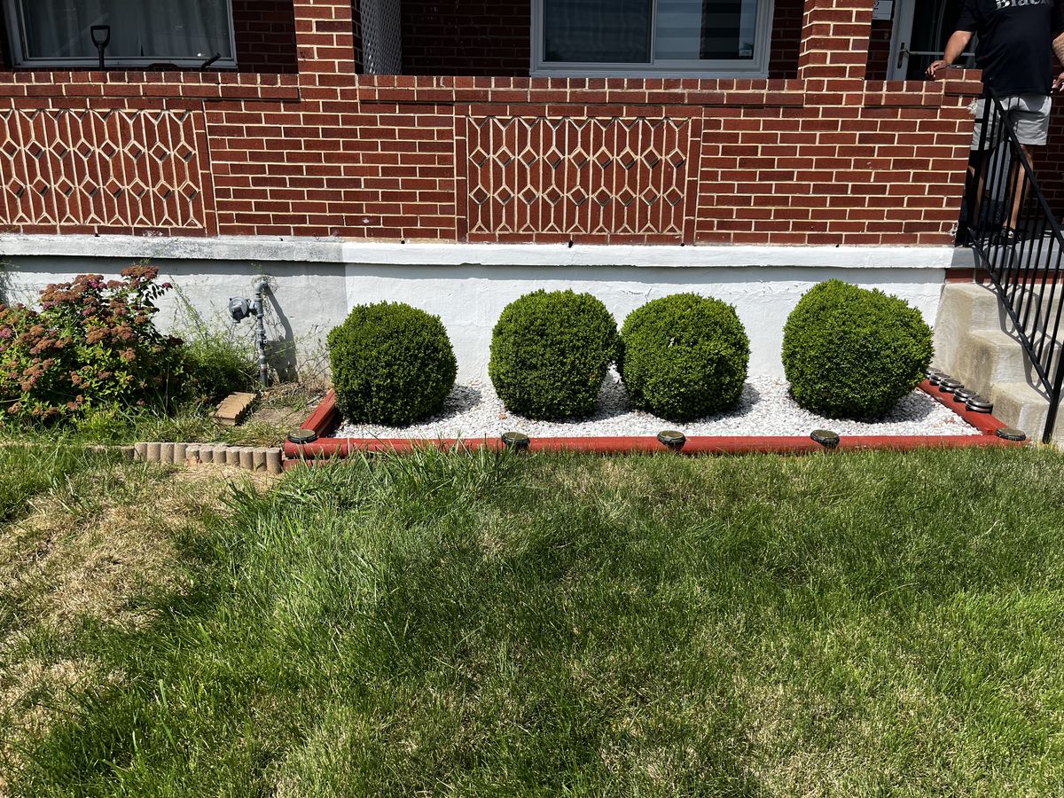 Cleared, tidy bed after shrub removal in Baltimore