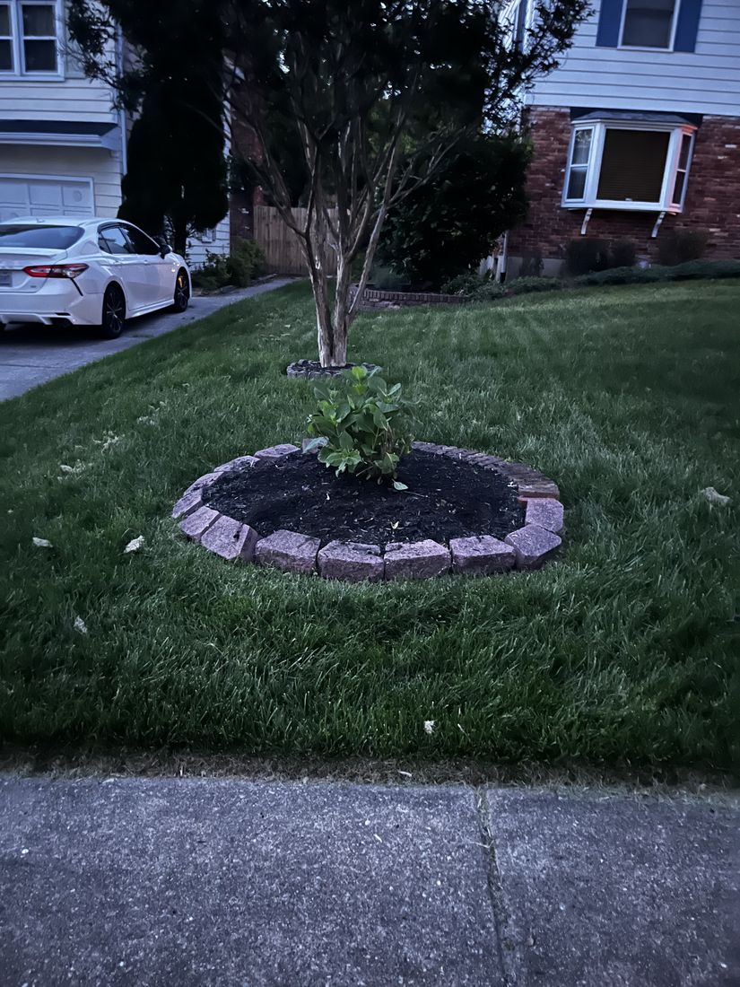 Fresh shrubs installed at a Baltimore property