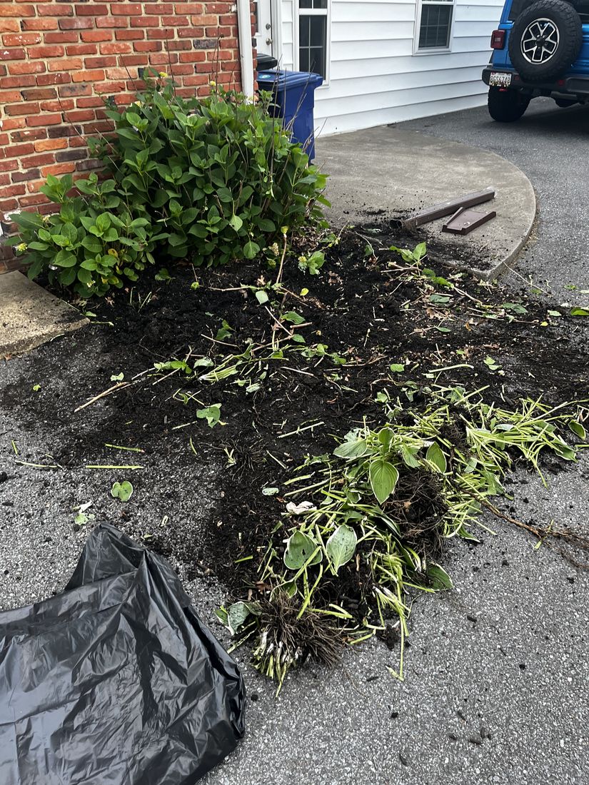 Overgrown shrubs removed and bed cleared in Baltimore