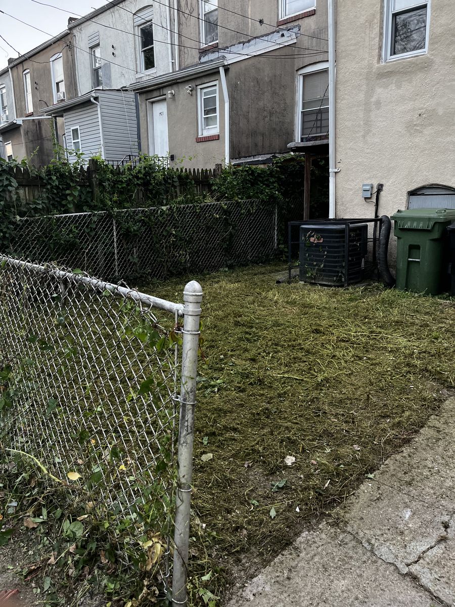 Baltimore back yard cut back and cleaned up after lawn service