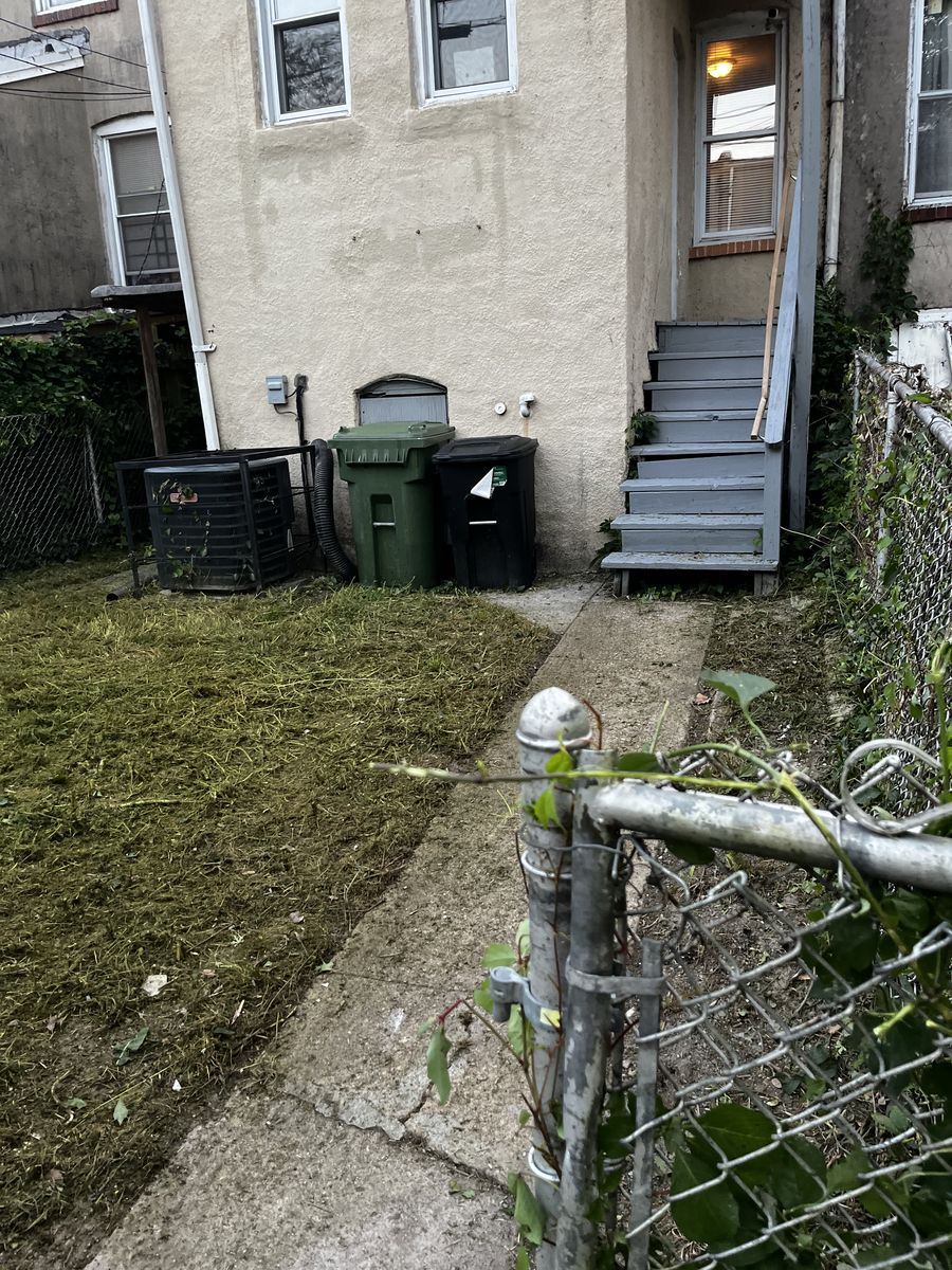 Cleaned-up Baltimore back yard after lawn service, another angle