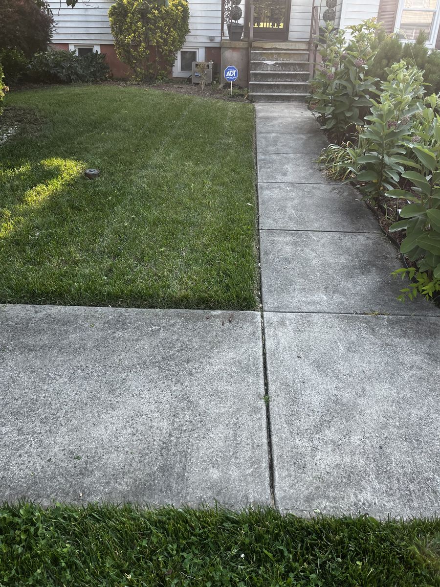 Freshly cut Baltimore lawn after lawn service