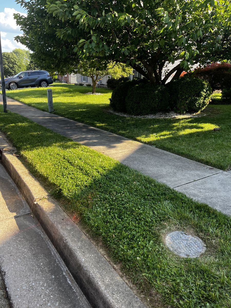 Cut and edged Baltimore lawn after service, another angle