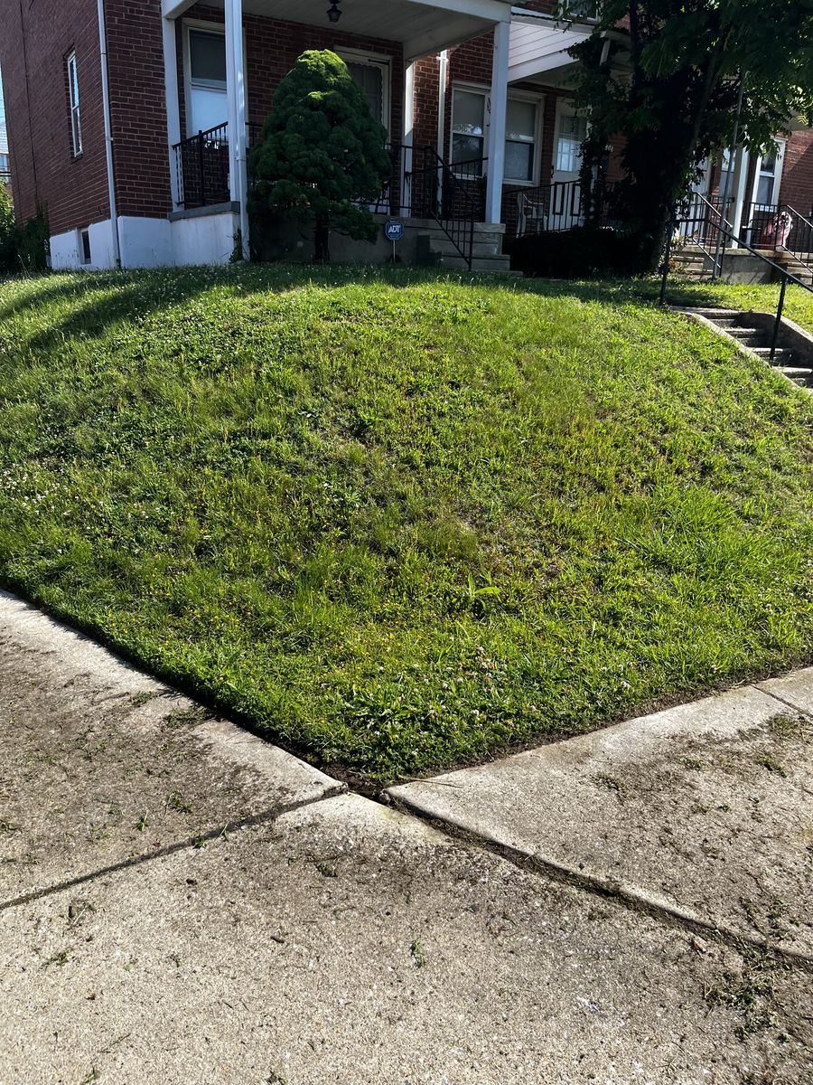 Fresh-cut Baltimore front lawn after lawn service