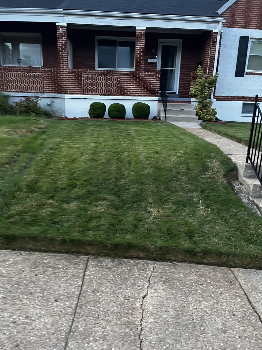 Cut and edged Baltimore lawn after service, another view