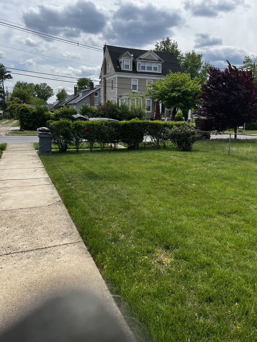 Freshly cut and edged Baltimore front lawn