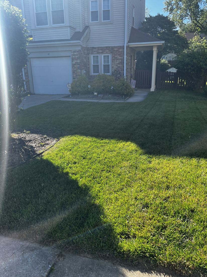 Healthy, evenly cut lawn in Baltimore County