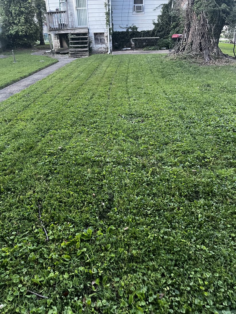 Manicured Baltimore lawn with fresh mow lines