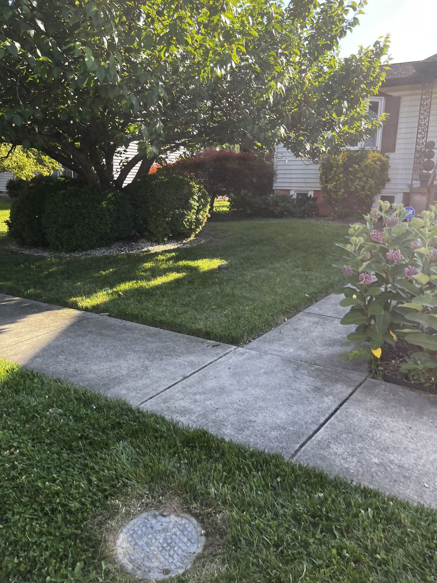 Finished Baltimore front lawn after lawn service