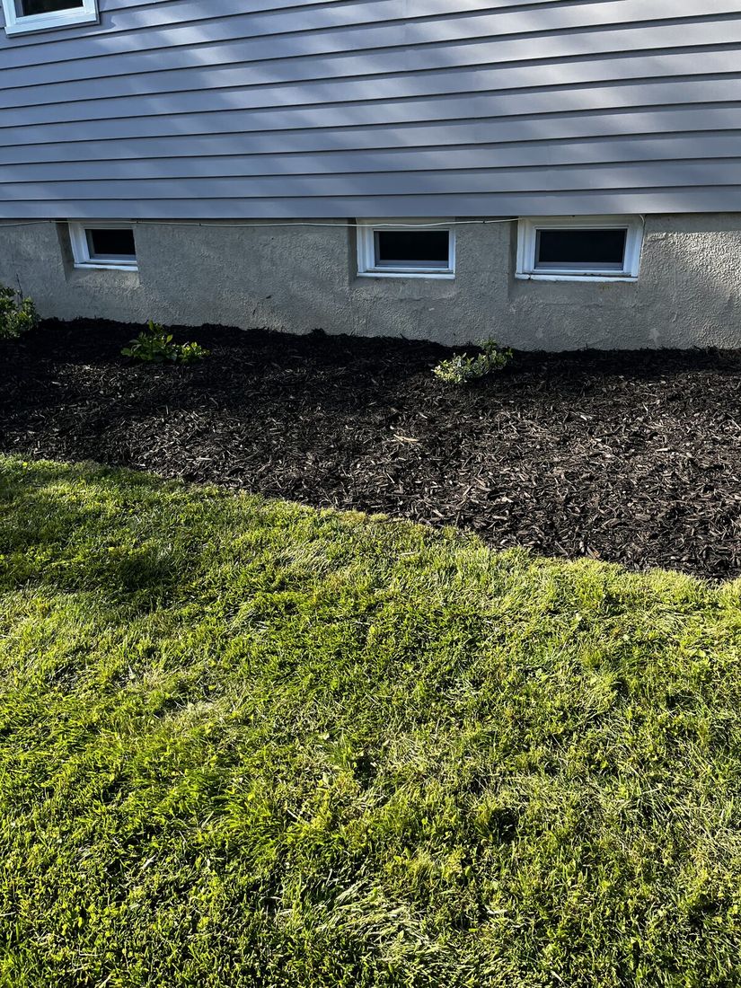 After: fresh dark mulch spread into the bed with a clean edge cut against the lawn